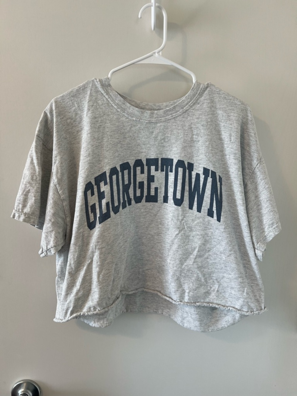 John Galt Brandy Melville Cropped Tee